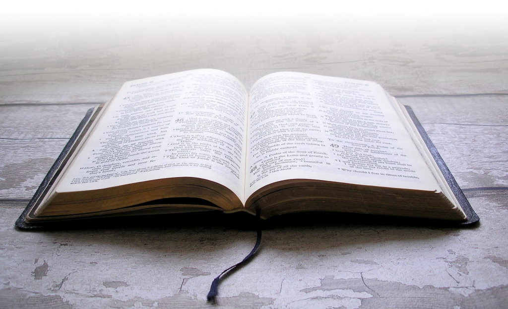 about-scroll-through-the-bible